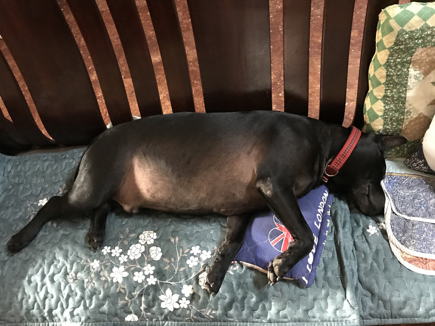 Gremlins products with variant 0921-abc