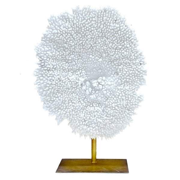 Coral Decor On Stand-abc