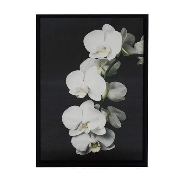 Orchid Print Wall Art-abc