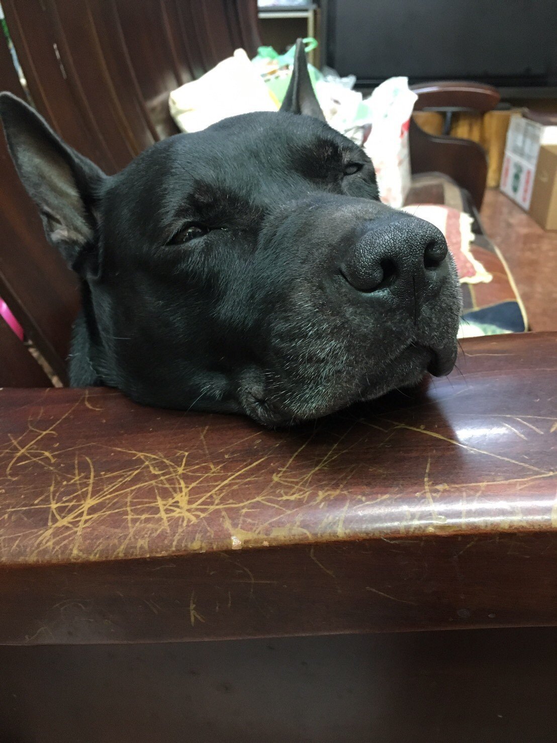 Product with 2 variants 這是中文肥海豹-abc