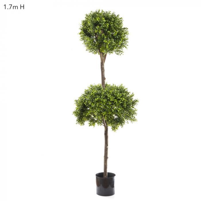 Boxwood Dbl Ball Tree 1.7m Dia60&40cm-abc