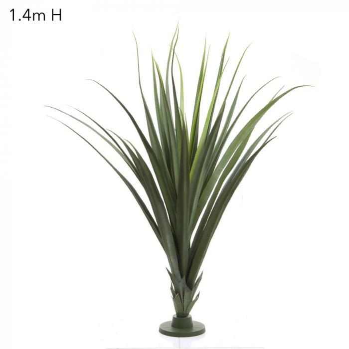 Pandanus Head Large 1.4m-abc