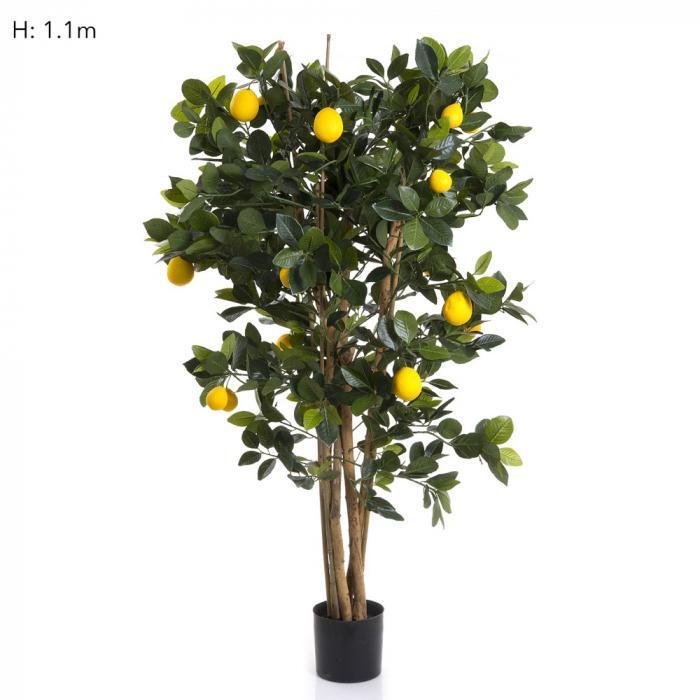 Lemon Tree 91cm 1026Lvs-abc