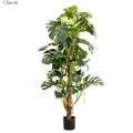 Split-Leaf Philodendron 1.5m-abc