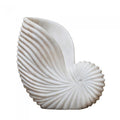 Marble Conch Shell Lge-abc