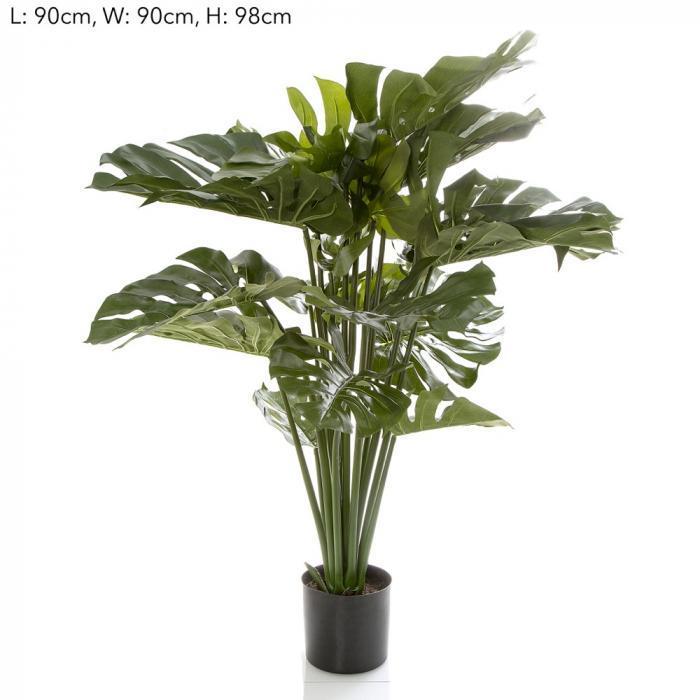 98 cm Monstera Split Philo w/18 Lv-abc