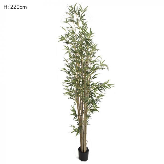 Bamboo Tree Natural Trunk 2.2m 1598 Lvs-abc