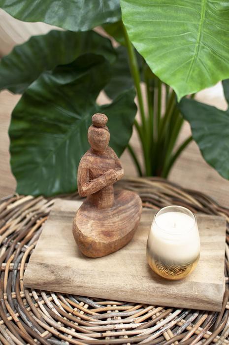 Taro Plant in Black Pot 1m 13 Lvs-abc