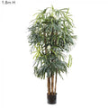 Raphis Palm (Thin Leaf) 1.8m-abc