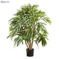 Royal Longfolia 90cm 696Lvs-abc