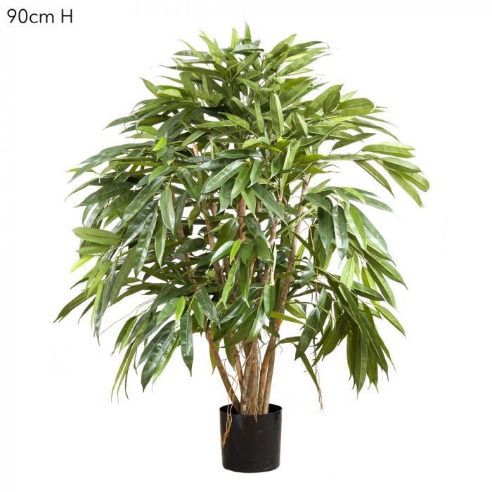 Royal Longfolia 90cm 696Lvs-abc