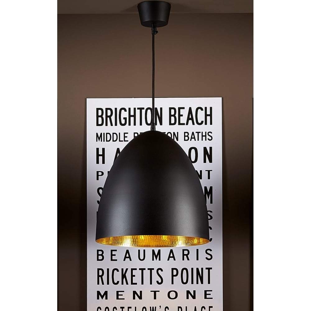 Egg Ceiling Lamp Black Brass-abc