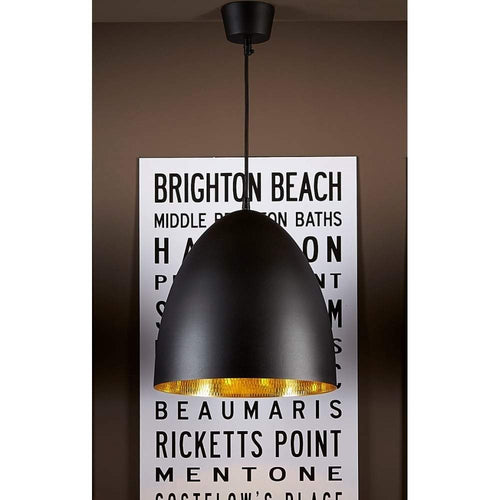 Egg Ceiling Lamp Black Brass-abc