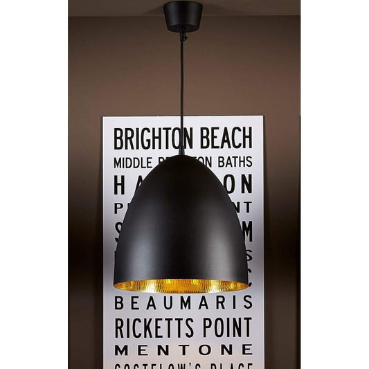 Egg Ceiling Lamp Black Brass-abc