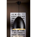 Egg Ceiling Lamp Black Silver-abc