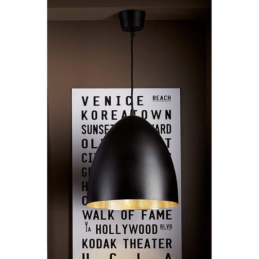 Egg Ceiling Lamp Black Silver-abc