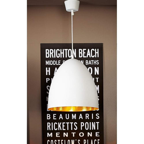 Egg Ceiling Lamp White Brass-abc