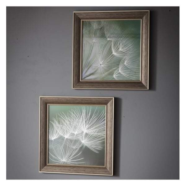 Floret Framed Art Set of 2-abc