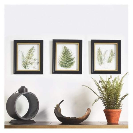 Alpini Framed Art Trio-abc
