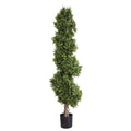 Boxwood Spiral Tree 1.9m-abc