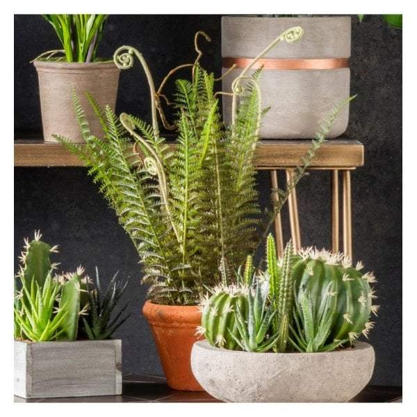 Artificial Faux Potted Wild Fern-abc