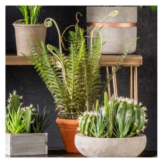 Artificial Faux Potted Wild Fern-abc