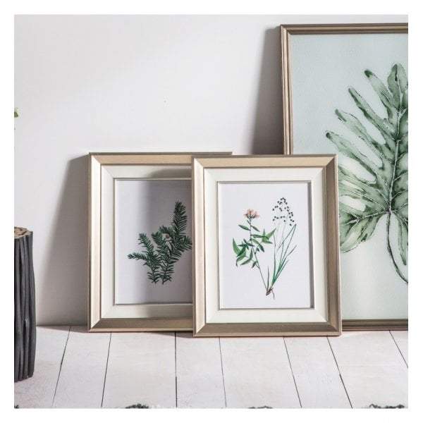 Botanical Spring II Framed Art Set of 2-abc