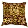 Safari Leopard-abc