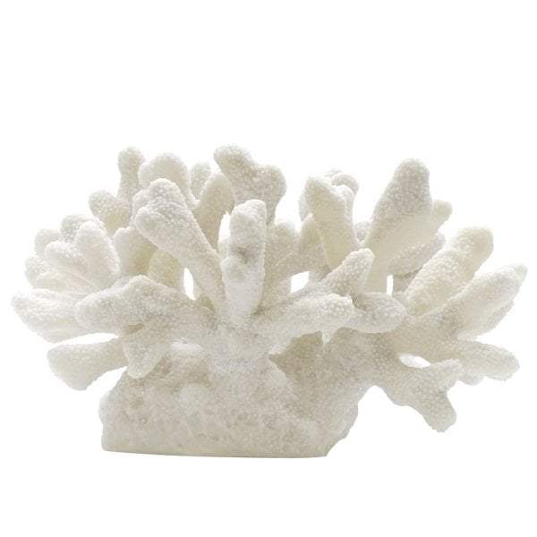Coral Décor-abc