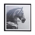 Equine Pride Framed Print-abc