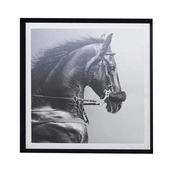 Equine Pride Framed Print-abc