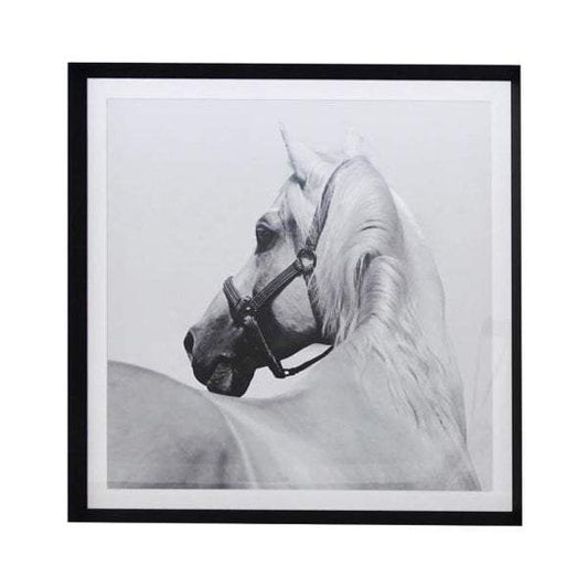 Horse Whisper Framed Print-abc