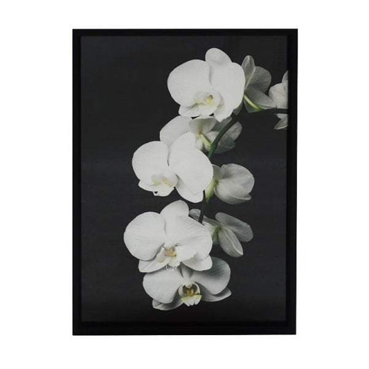 Orchid Print Wall Art-abc