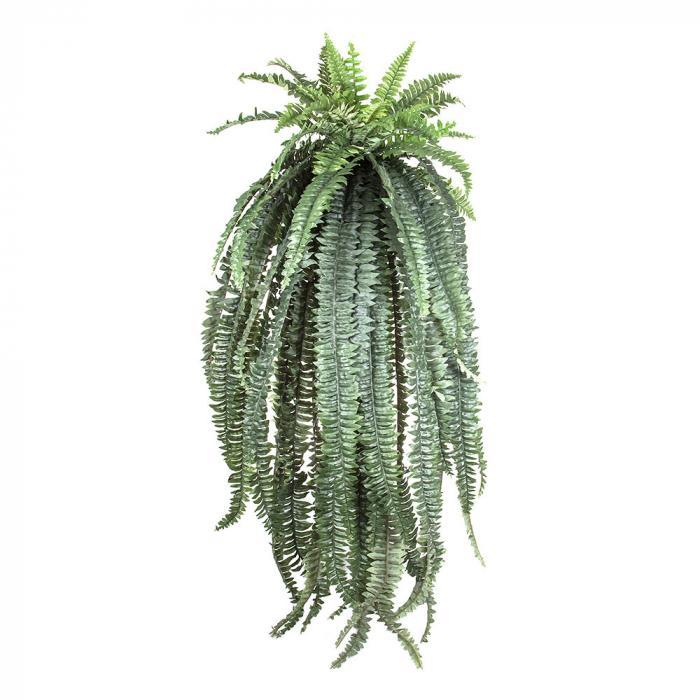 Fern Boston Giant 1.5m-abc
