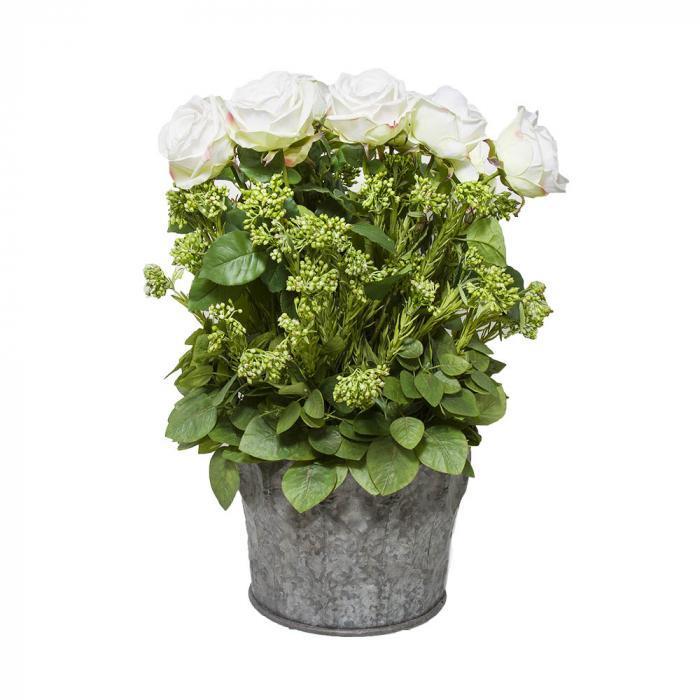 Rose in Tin Pot Large-abc