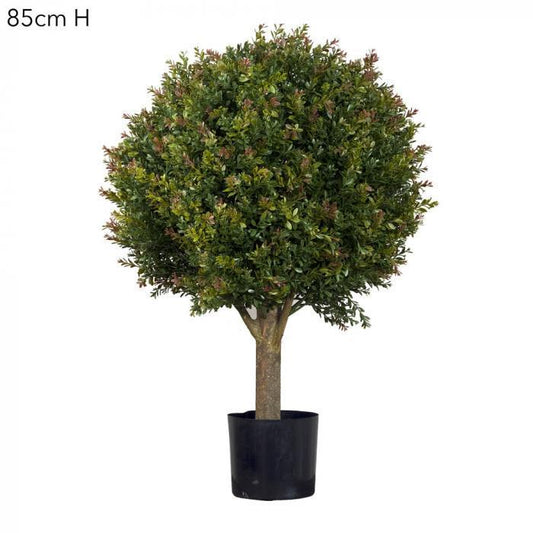 Red Day Leaf Ball Tree 85cm-abc