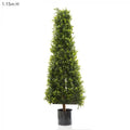 Boxwood Pyramid Tree 1.15m-abc
