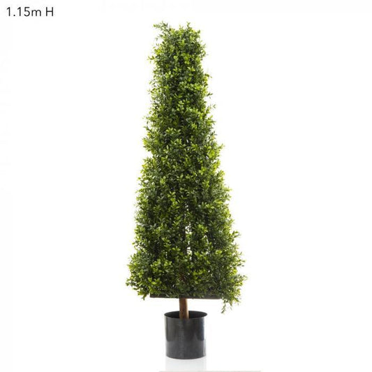 Boxwood Pyramid Tree 1.15m-abc