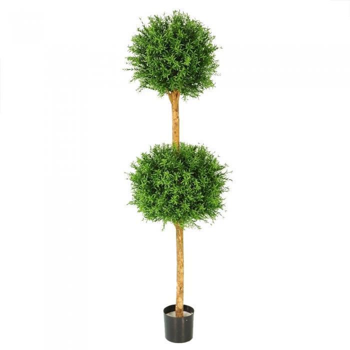 Rosemary 2 Ball Tree 656 Lvs 1.5m-abc