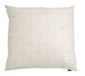 Tek Cushion Blush-abc
