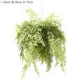 Fern Hanging-abc