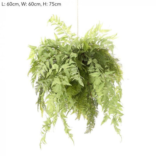 Fern Hanging-abc