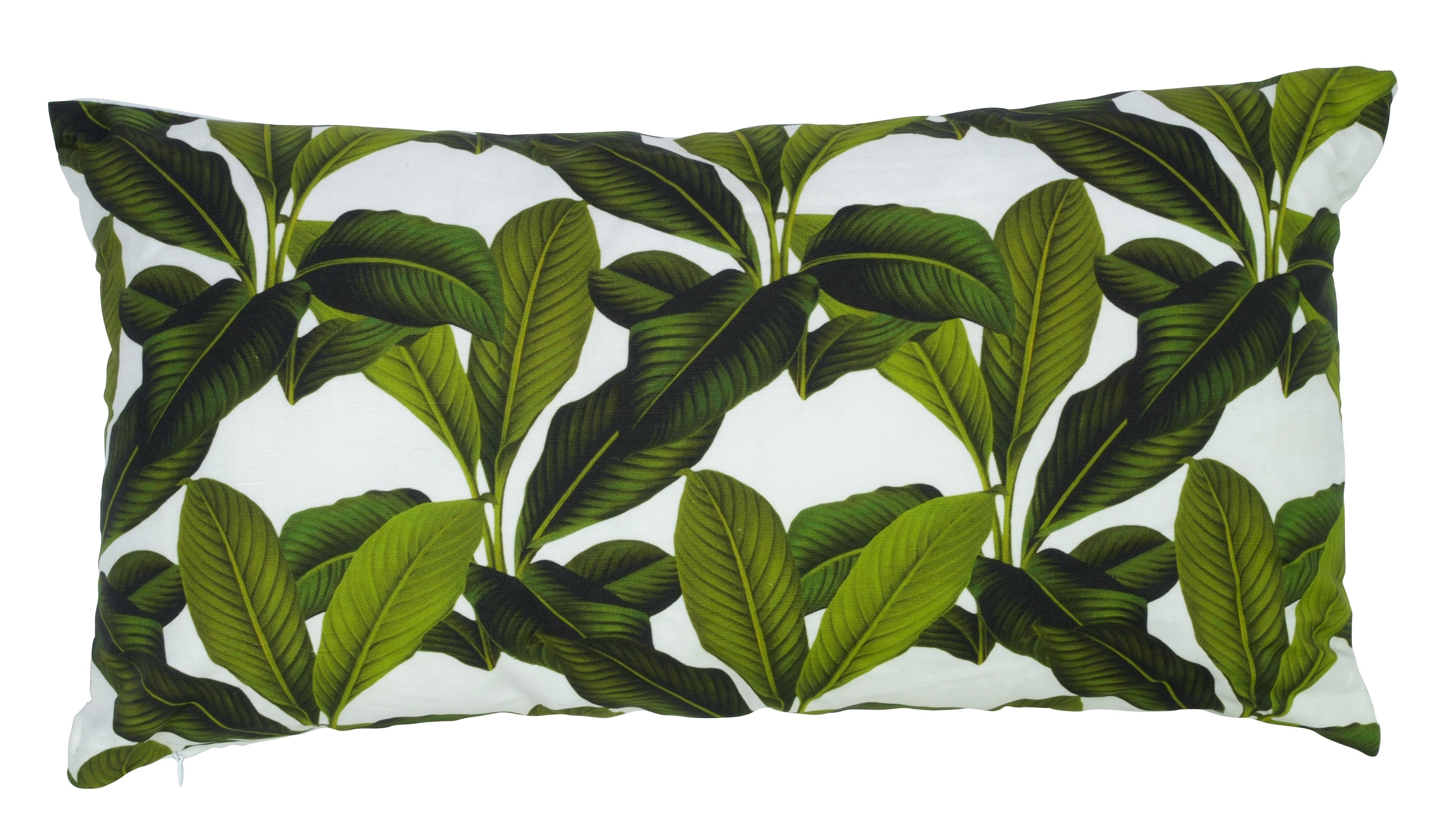 Palm Pilllow White-abc
