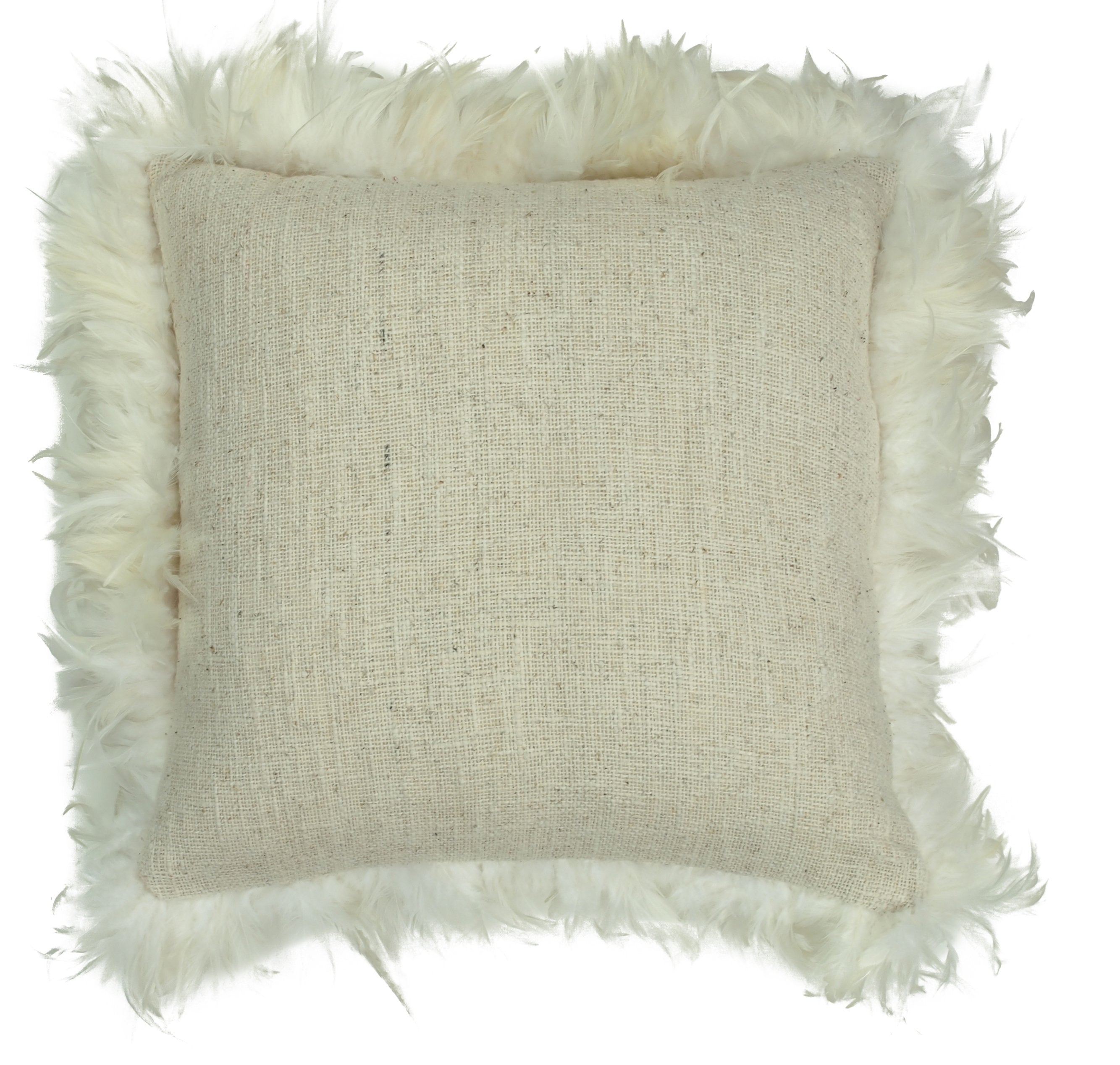 Cloris Feather Trim Cushion-abc