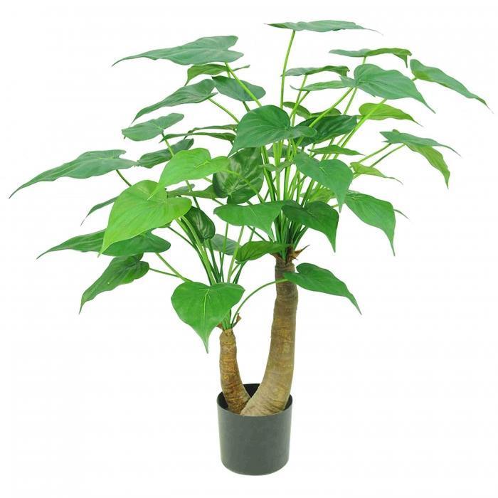 Alocasia Cucullata Tree 47 Lvs 95cm-abc