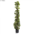 Pothos Vines on Coconut Pole 1.5m 300Lvs-abc