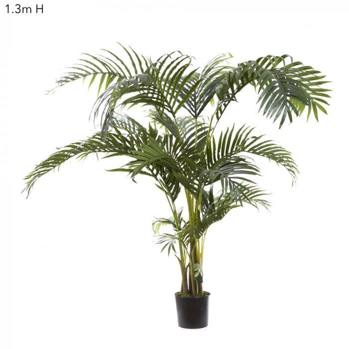 Kentia Palm Tree 130cm Green-abc