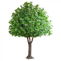 5.7M Maple Giant Tree W/7245 Lvs-abc