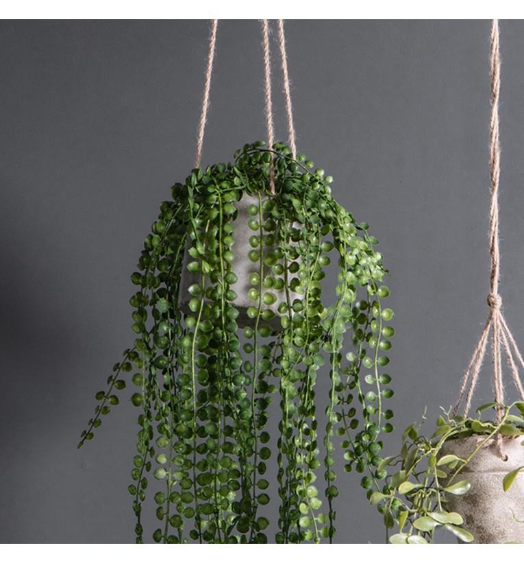 Potted Hanging Pearl Spray Green (3pk)-abc