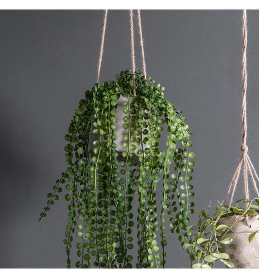 Potted Hanging Pearl Spray Green (3pk)-abc